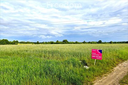 działka na sprzedaż 31400m2 działka Olszyc Szlachecki