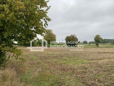 działka na sprzedaż 3023m2 działka Skrzeszewo Żukowskie