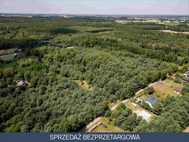 Działka 89 tys. m² pod inwestycję w Pelagii - plan zagospodarowania działka Pelagia, Pelagia