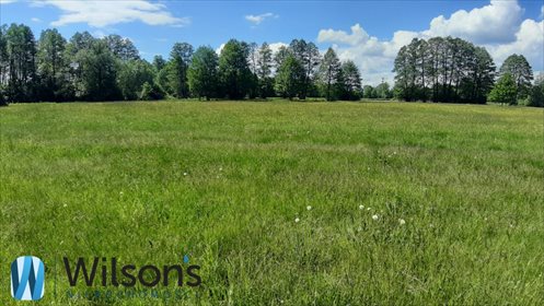 Działka budowlana na sprzedaż Morzyczyn-Włóki 3 000m2 Foto 7