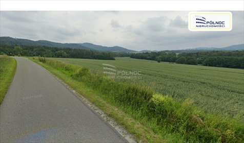 działka na sprzedaż 13000m2 działka Jaszkowa Dolna