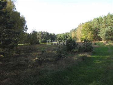 Działka budowlana na sprzedaż Siedlątków, Osiedle Działek 860m2 Foto 4