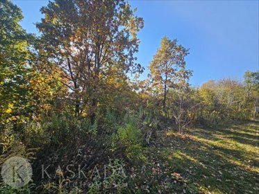 działka na sprzedaż 2419m2 działka Warszawa, Wawer, Rogatkowa