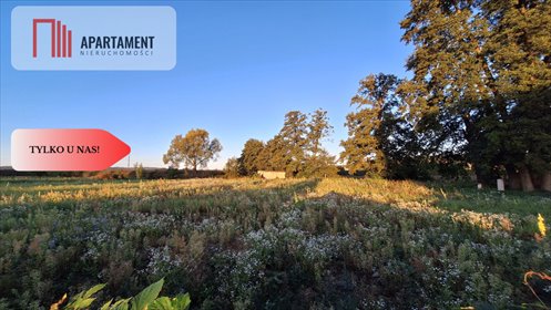 działka na sprzedaż 3924m2 działka Chodzież