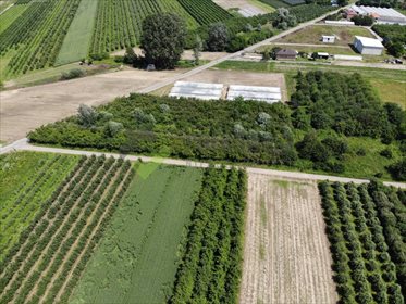 Działka inna na sprzedaż Wola Magnuszewska 5 440m2 Foto 4