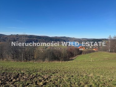 działka na sprzedaż 4969m2 działka Zawóz