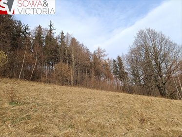 działka na sprzedaż 889m2 działka Jedlina-Zdrój, Kamieńsk