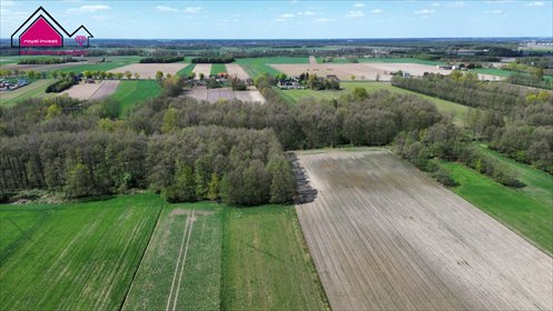 działka na sprzedaż 16609m2 działka Grabina