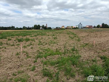 działka na sprzedaż 1500m2 działka Bielice