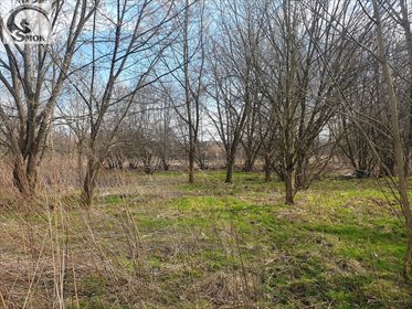 działka na sprzedaż 3950m2 działka Niepołomice, Piaski