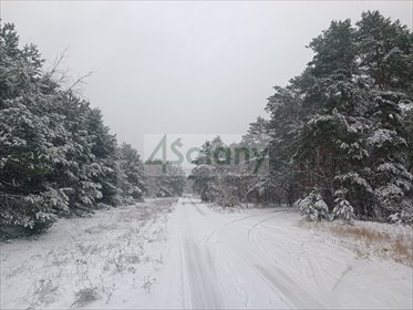 Na sprzedaż działka 897 m² z mediami i lasem w Warszawie działka Warszawa, Wawer, Falenica