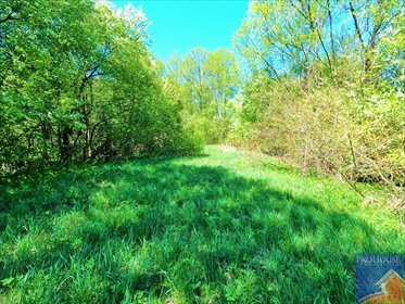 działka na sprzedaż 2634m2 działka Mordarka
