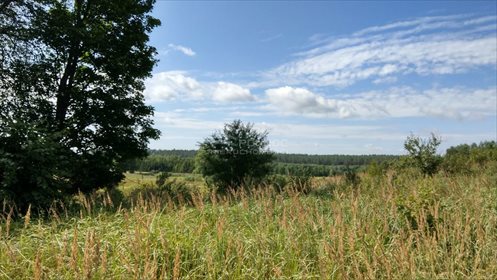 Działka budowlana na sprzedaż Międzyrzecze 1 700m2 Foto 7