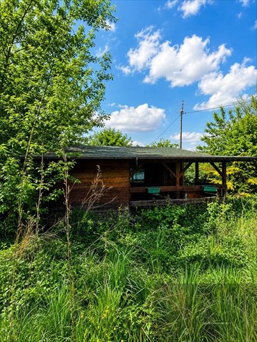 Działka 3655 m² z domkiem w Wiejcy (blisko Warszawy) działka Wiejca