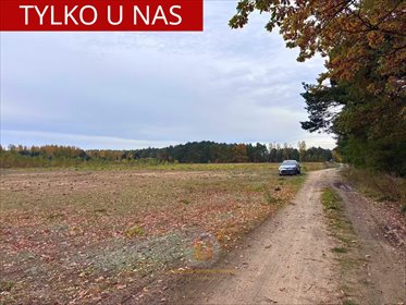 działka na sprzedaż 1616m2 działka Powązki, Chabrowa