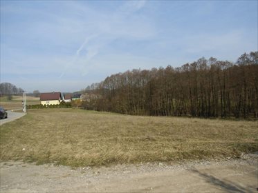 Działka budowlana na sprzedaż Kosowo 1 000m2 Foto 2