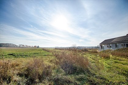 działka na sprzedaż 3000m2 działka Szerenosy