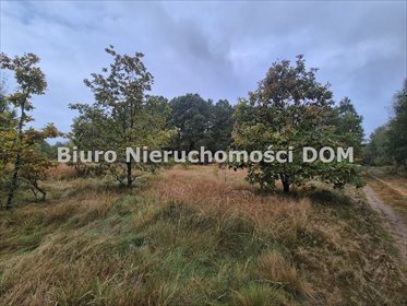 działka na sprzedaż 36340m2 działka Aleksandria