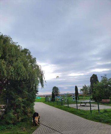 lokal użytkowy na sprzedaż 800m2 lokal użytkowy Dziwnów