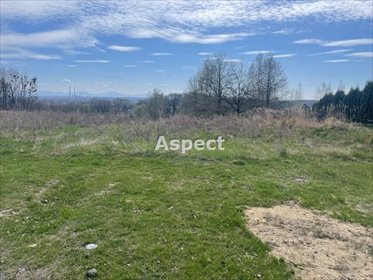 działka na sprzedaż 946m2 działka Turza Śląska