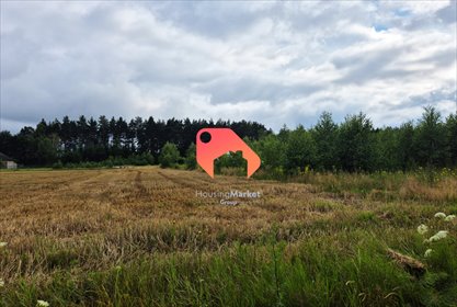 Sprzedam działkę 1265 m² z własną drogą i blisko lasu działka Nekla, Jeżynowa
