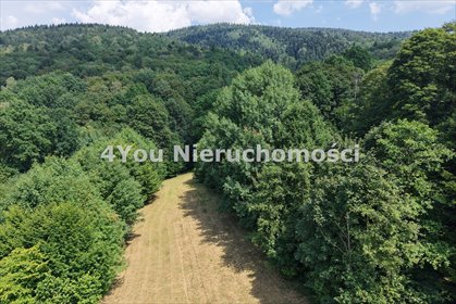 Zapraszam do obejrzenia działki 2610 m² w Wilkowicach działka Wilkowice