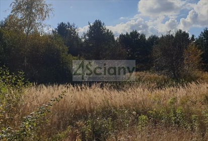 działka na sprzedaż 31925m2 działka Stary Łajszczew