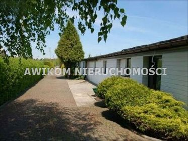 działka na sprzedaż 6800m2 działka Skierniewice, Feliksów