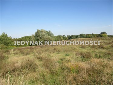 Duża działka 9 191 m² w Łochowicach - polecam działka Łochowice