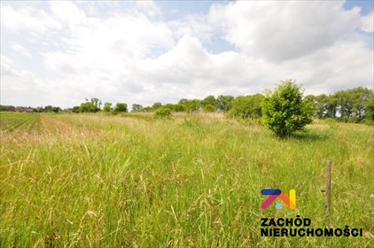 działka na sprzedaż 2511m2 działka Pomorsko