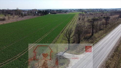 działka na sprzedaż 7600m2 działka Kock