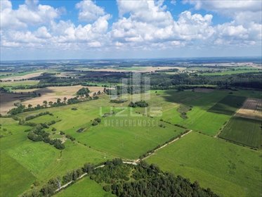 Polecam dużą działkę rolną 39 ha w Dąbkowie działka Dąbkowo