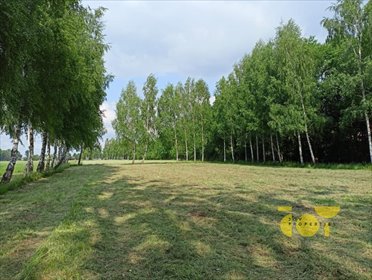 Działka budowlana na sprzedaż Słomczyn, Wilanowska 2 444m2 Foto 6