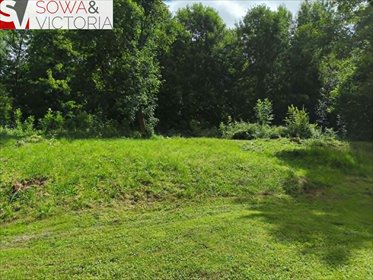 Do sprzedania działka 14 200 m² z lasem i łąkami działka Stare Bogaczowice