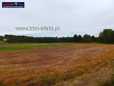 działka na sprzedaż 2500m2 działka Bestwina