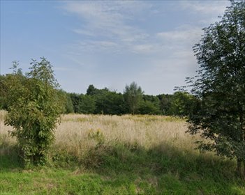 działka na sprzedaż 6040m2 działka Rudna Mała
