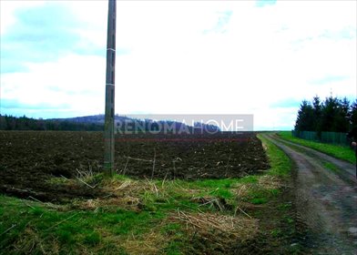 Działka rolna 1,06 ha z mediami i widokami - zapraszam działka Kłodzko