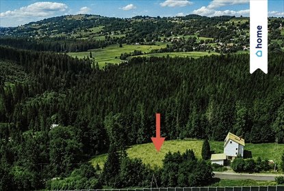 Działka rolno-budowlana 3637 m² Laliki - blisko S1 działka Laliki
