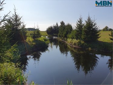 Działka z stawem - blisko lasu i jeziora w Orłowie działka Orłowo, Orłowo