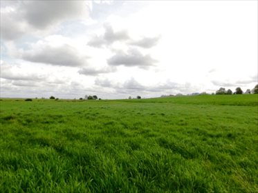 Działka rolna na sprzedaż Szczepanki 91 700m2 Foto 5