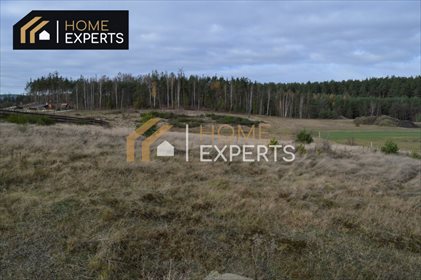 działka na sprzedaż 1500m2 działka Gdańsk, Jasień, Źródlana
