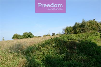 Działka budowlana na sprzedaż Babica 2 263m2 Foto 5