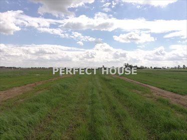 Działka budowlana na sprzedaż Wierzeja 901m2 Foto 3