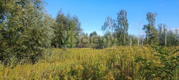 Polecam działkę 1800 m² w Michałowicach Wieś działka Michałowice-Wieś