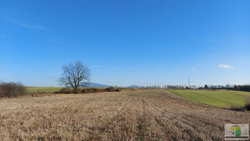 Działka budowlana na sprzedaż Wilków 1 128m2 Foto 4