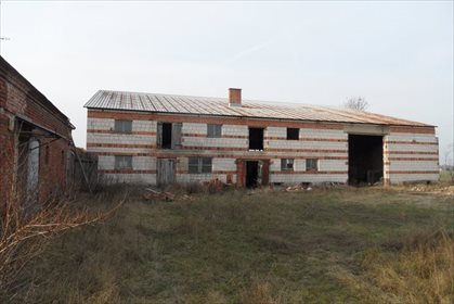Działka budowlana na sprzedaż Olsza 12 000m2 Foto 4
