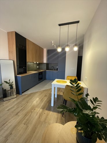 mieszkanie na wynajem 43m2 mieszkanie Wrocław, Stare Miasto, Kazimierza Michalczyka