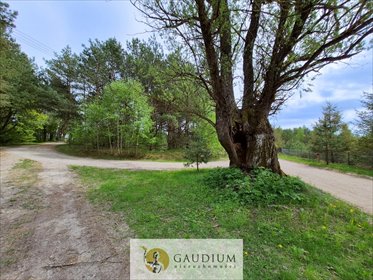 Urokliwa działka leśna 1706 m² w Bartoszylasie działka Bartoszylas