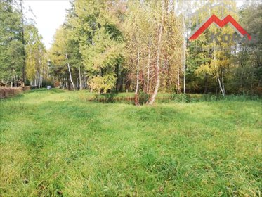 działka na sprzedaż 15600m2 działka Janinów
