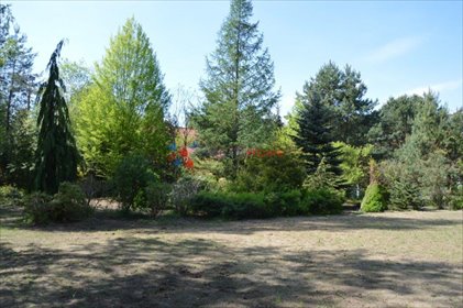 działka na sprzedaż 1306m2 działka Marylka